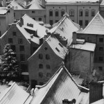 Fot. Małgorzata Juchnikowska