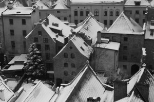 Fot. Małgorzata Juchnikowska