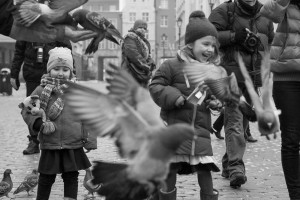 Fot. Małgorzata Juchnikowska