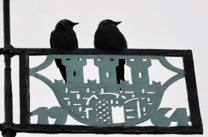 Fot. Maciej Czarnecki