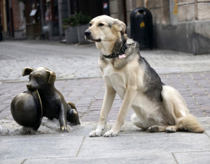 Fot. Maciej Czarnecki