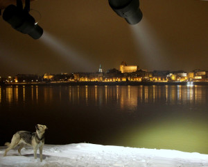 Fot. Małgorzata Oracz