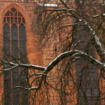 Fot. Małgorzata Oracz