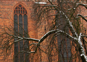 Fot. Małgorzata Oracz