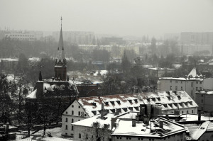 Fot. Małgorzata Oracz