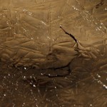 Fot. Kamil Kondzielski