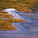 Fot. Kamil Kondzielski