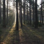 Fot. Kamil Kondzielski