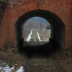 Fot. Kamil Kondzielski