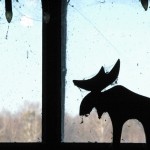 Fot. Kamil Kondzielski