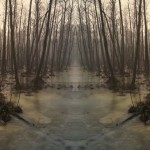 Fot. Kasia Szygałowicz