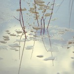 Fot. Kasia Szygałowicz