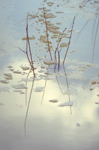 Fot. Kasia Szygałowicz