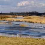 Fot. Kasia Szygałowicz