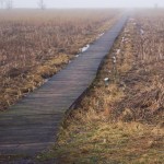 Fot. Kasia Szygałowicz