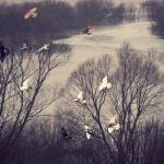 Fot. Kasia Szygałowicz