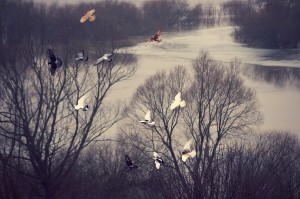 Fot. Kasia Szygałowicz