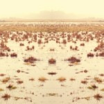 Fot. Kasia Szygałowicz