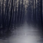 Fot. Marta Skłodowska