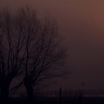 Fot. Marta Skłodowska