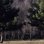 Fot. Marta Skłodowska