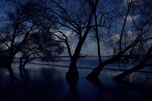 Fot. Marta Skłodowska