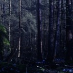 Fot. Marta Skłodowska