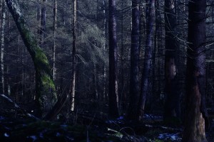 Fot. Marta Skłodowska