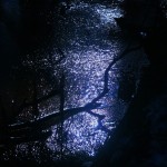 Fot. Marta Skłodowska