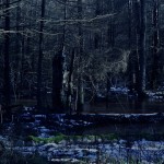 Fot. Marta Skłodowska