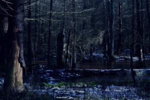 Fot. Marta Skłodowska