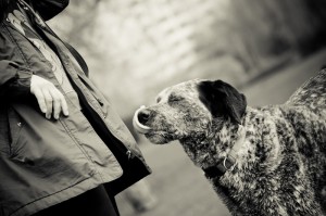 Fot. Anna Kleniewska