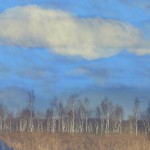 Fot. Karolina Mokrzycka