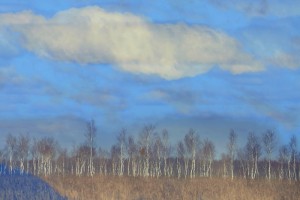 Fot. Karolina Mokrzycka