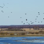 Fot. Karolina Mokrzycka