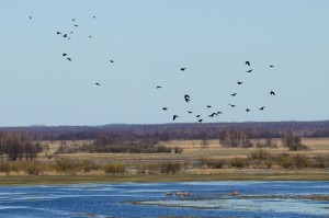 Fot. Karolina Mokrzycka