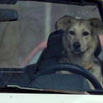 Fot. Karolina Mokrzycka