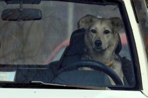 Fot. Karolina Mokrzycka