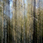 Fot. Karolina Mokrzycka