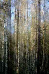 Fot. Karolina Mokrzycka