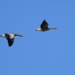 Fot. Karolina Mokrzycka