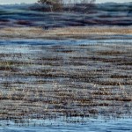 Fot. Karolina Mokrzycka