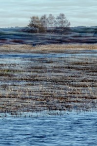 Fot. Karolina Mokrzycka