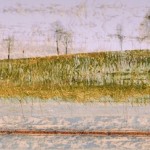 Fot. Weronika Banaszczyk