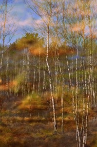 Fot. Weronika Banaszczyk