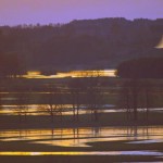 Fot. Weronika Banaszczyk