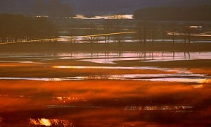 Fot. Weronika Banaszczyk