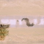 Fot. Weronika Banaszczyk