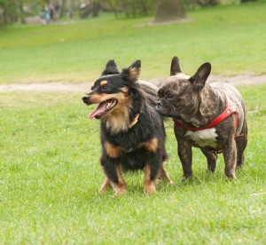 Fot. Anna Kleniewska