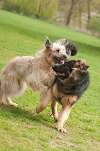 Fot. Anna Kleniewska